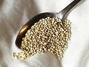 Propiedades de la quinoa